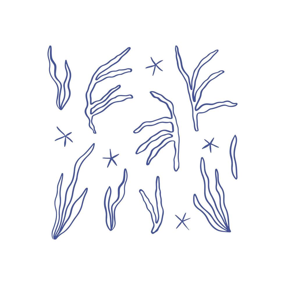 Hand drawn whimsical seaweed collection vector