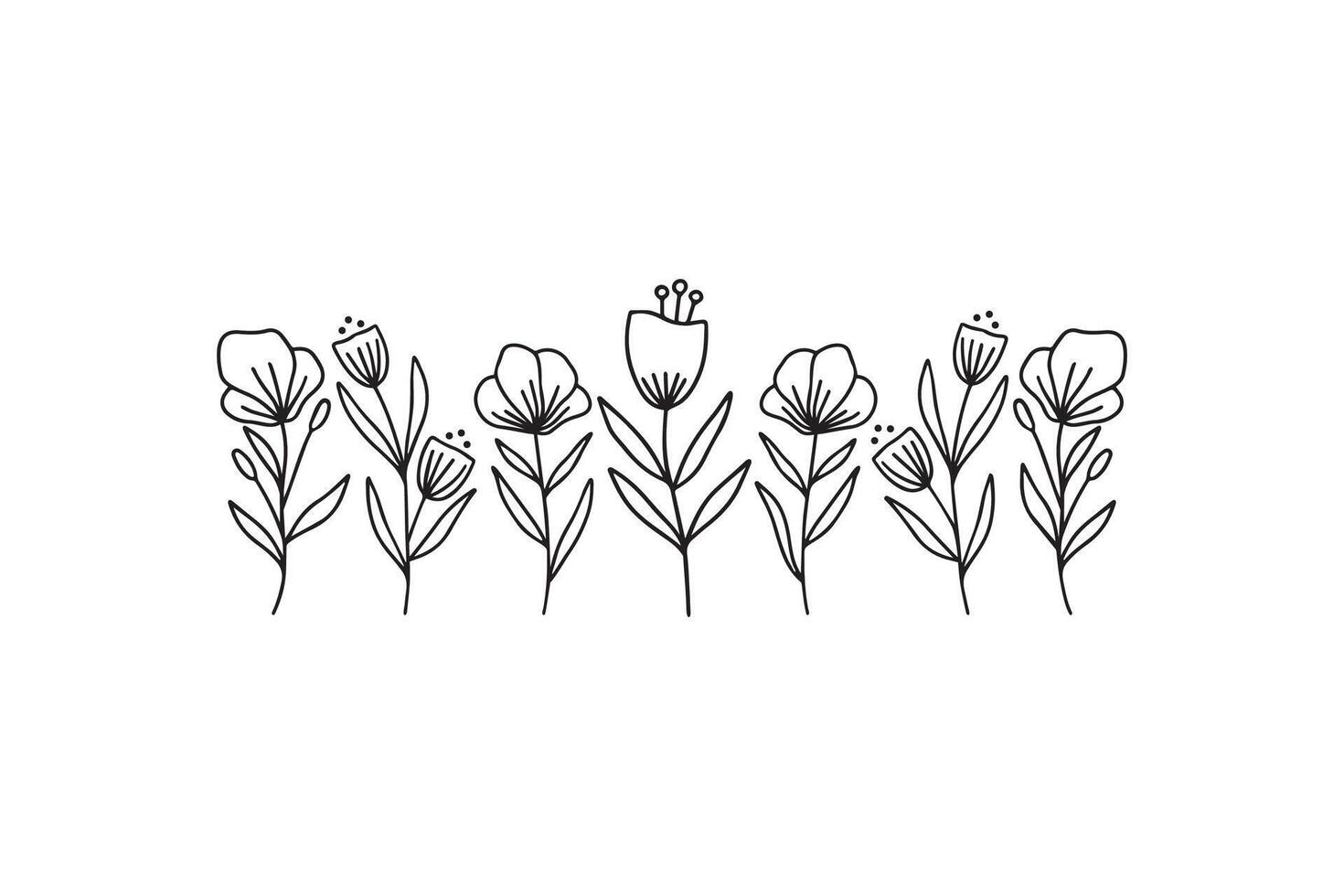Wildflower line art illustration. Flower garden elegance botanical collection. Hand drawn herbal and meadow plants illustration on white background. Twigs botany, branch for summer decor. vector