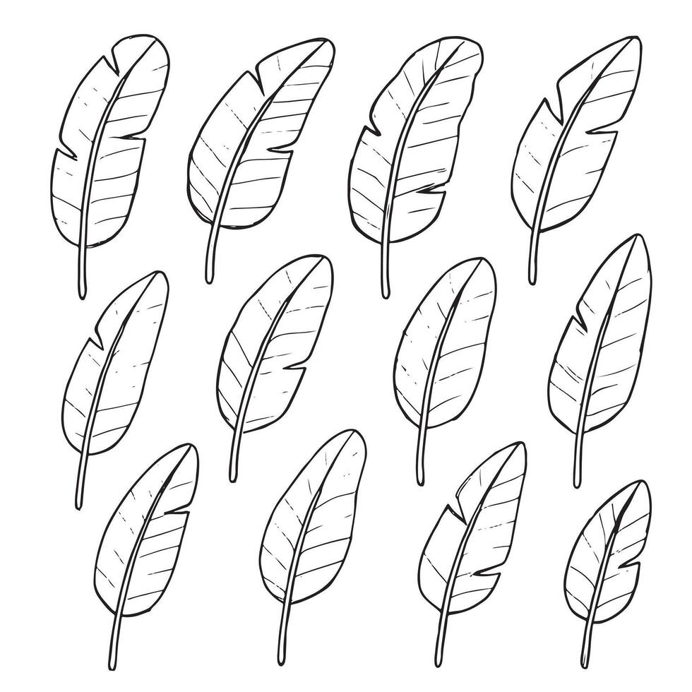 Seamless pattern of hand drawn banana leaves in black and white. Tropical foliage background. vector