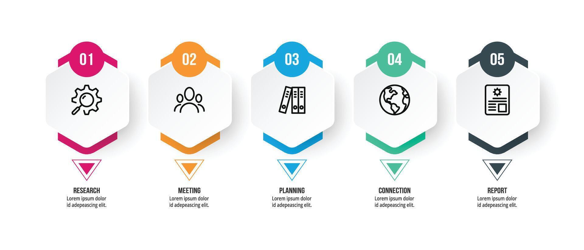 Business infographic template with option. vector