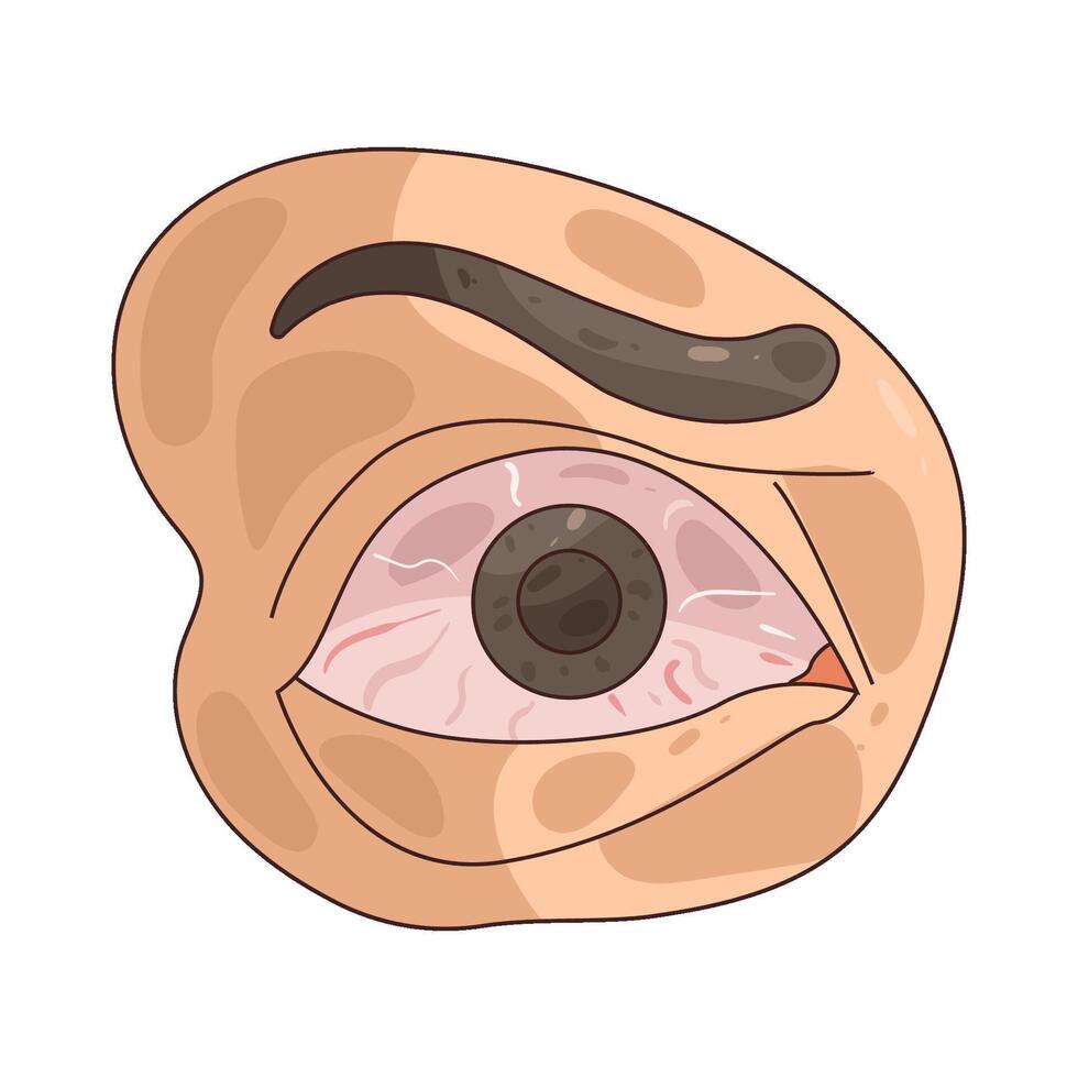 red eye illustration vector