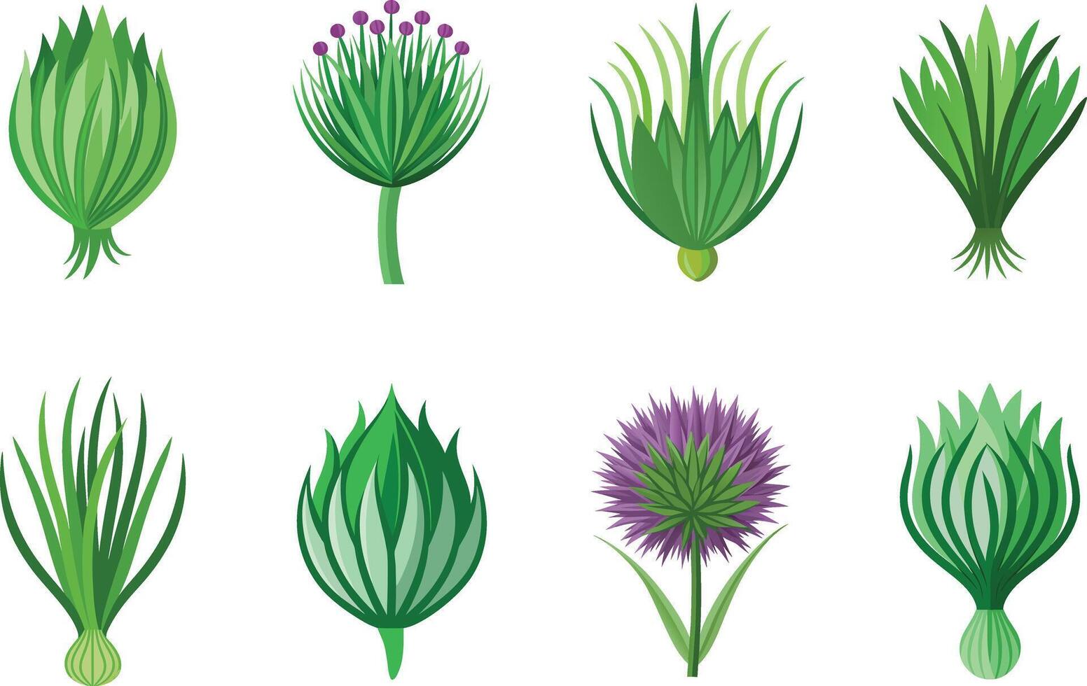 A set of different types of grasses and flowers vector