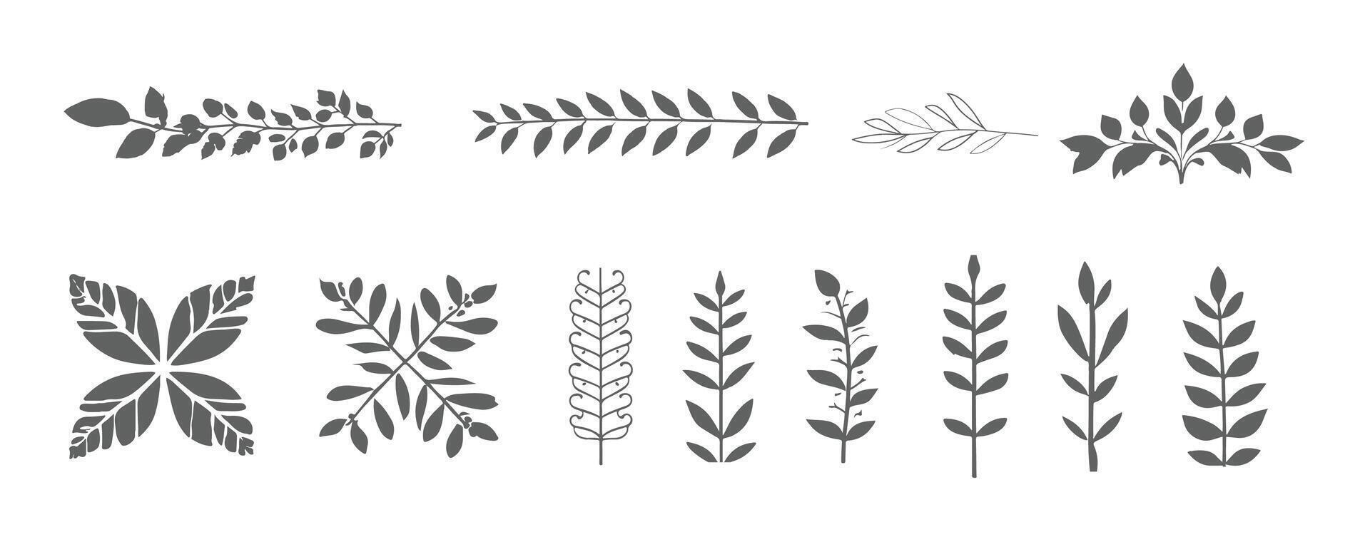 A set of different leaves and plants vector