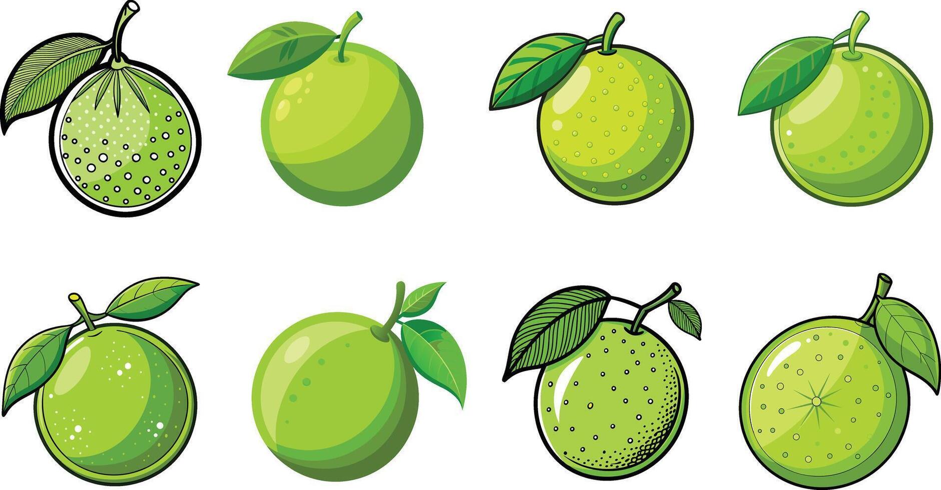 Various types of green fruits with leaves vector