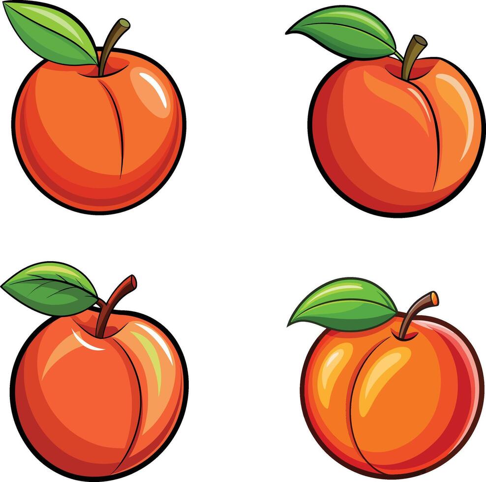 Four different peach fruits vector