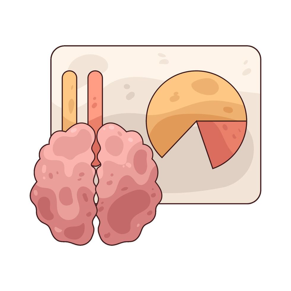brain anatomy illustration vector