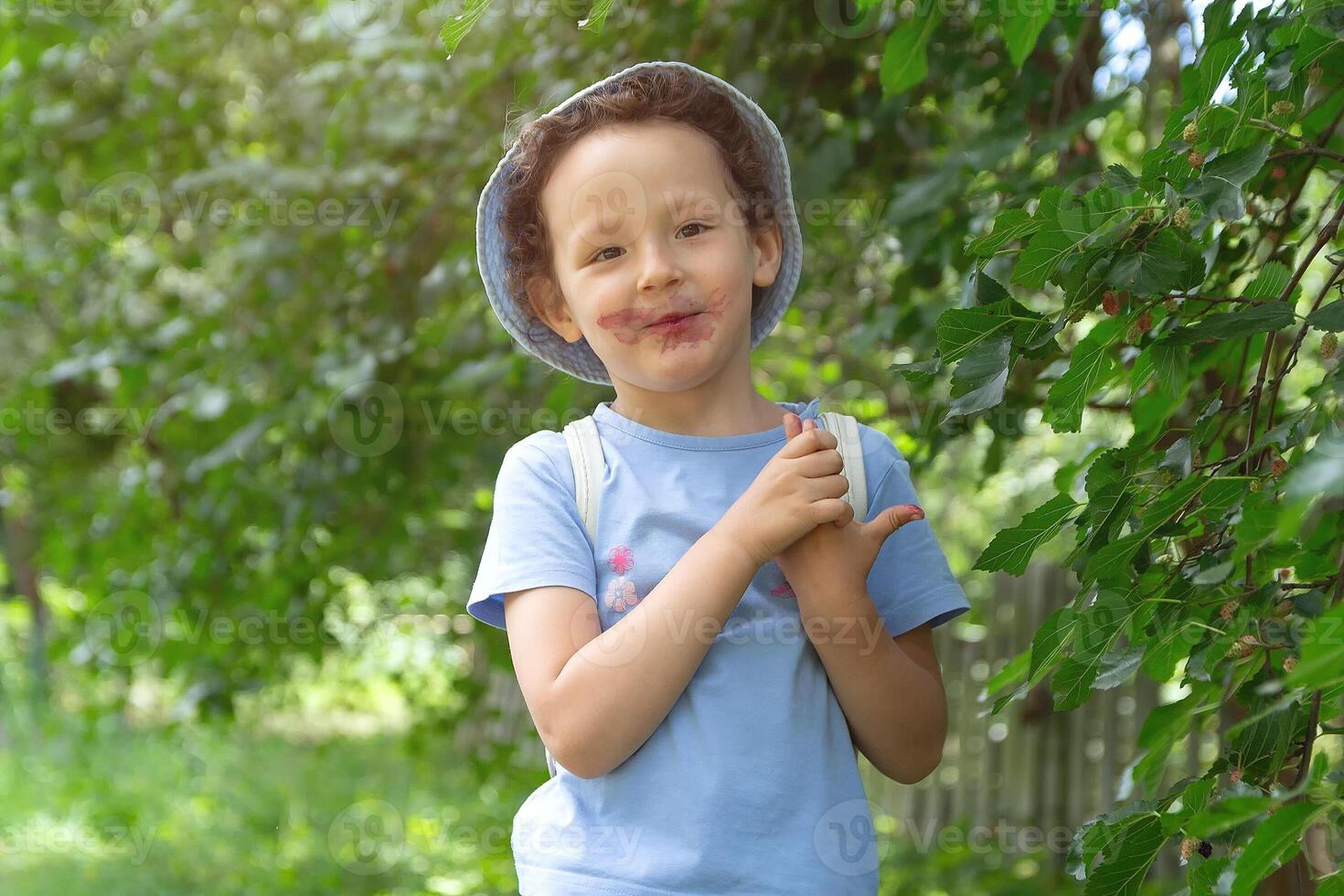 A happy child collects a mulberry from a tree in a garden photo