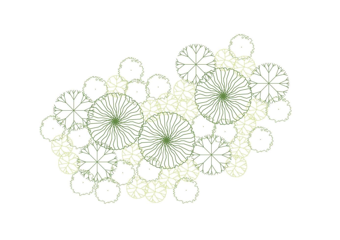 architecture drawing a tree top view plan greenery vegetation. design nature architectural landscape set element illustration bush garden flora sapling minimal. vector