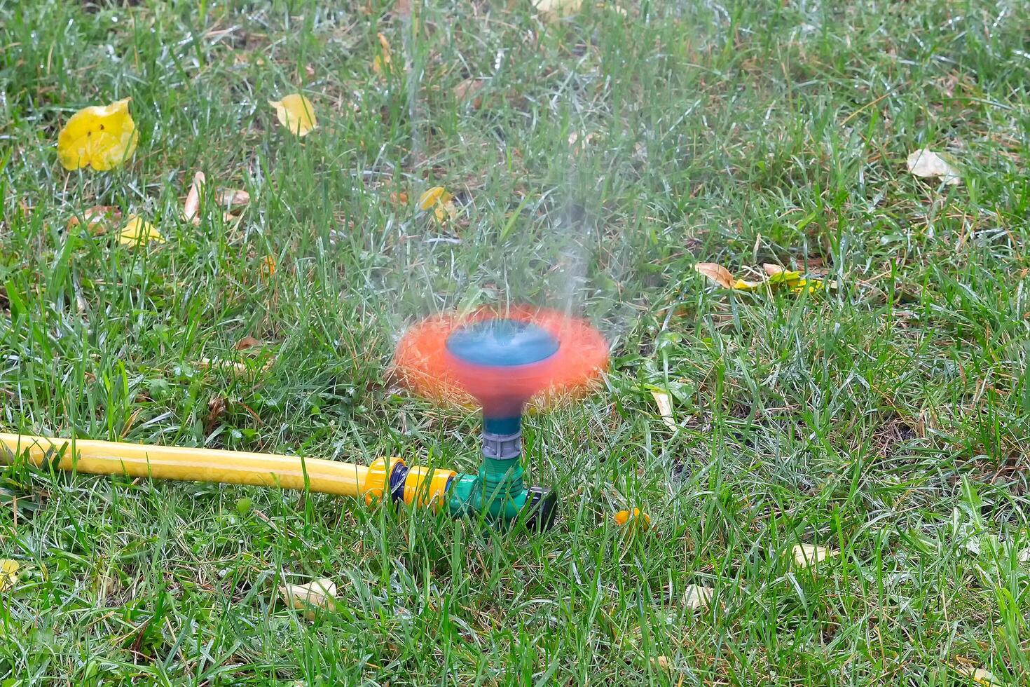 Automatic system of watering lawn photo