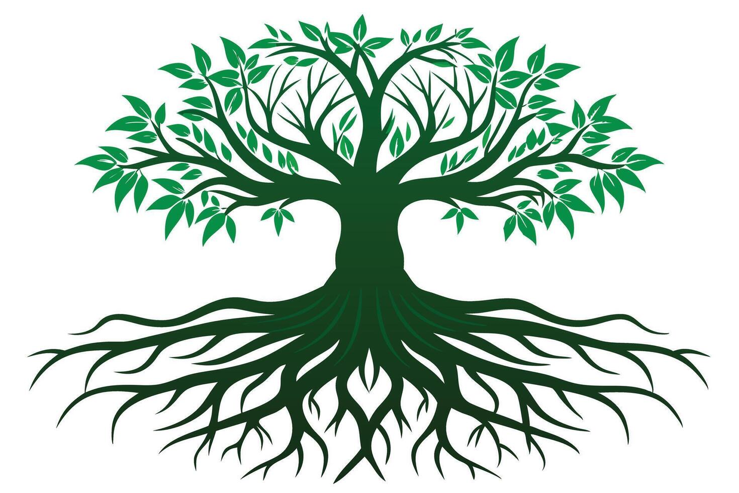 A tree with roots and leaves isolated on white background vector