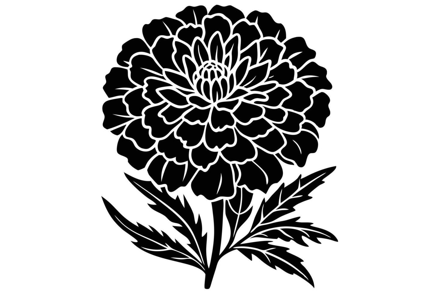 A flower illustration isolated on white background vector