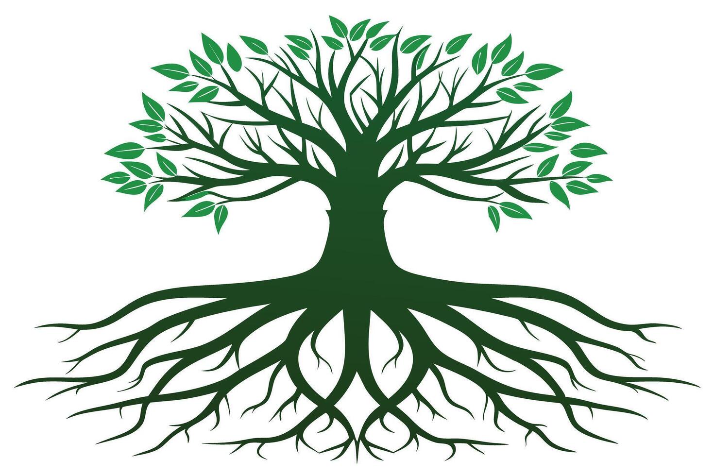 Green tree with roots and leaves isolated on white background vector