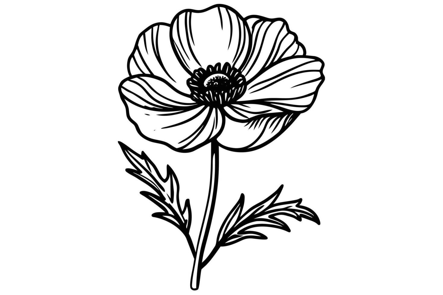 A detailed monochrome line drawing of a single anemone flower with leaves and stem vector