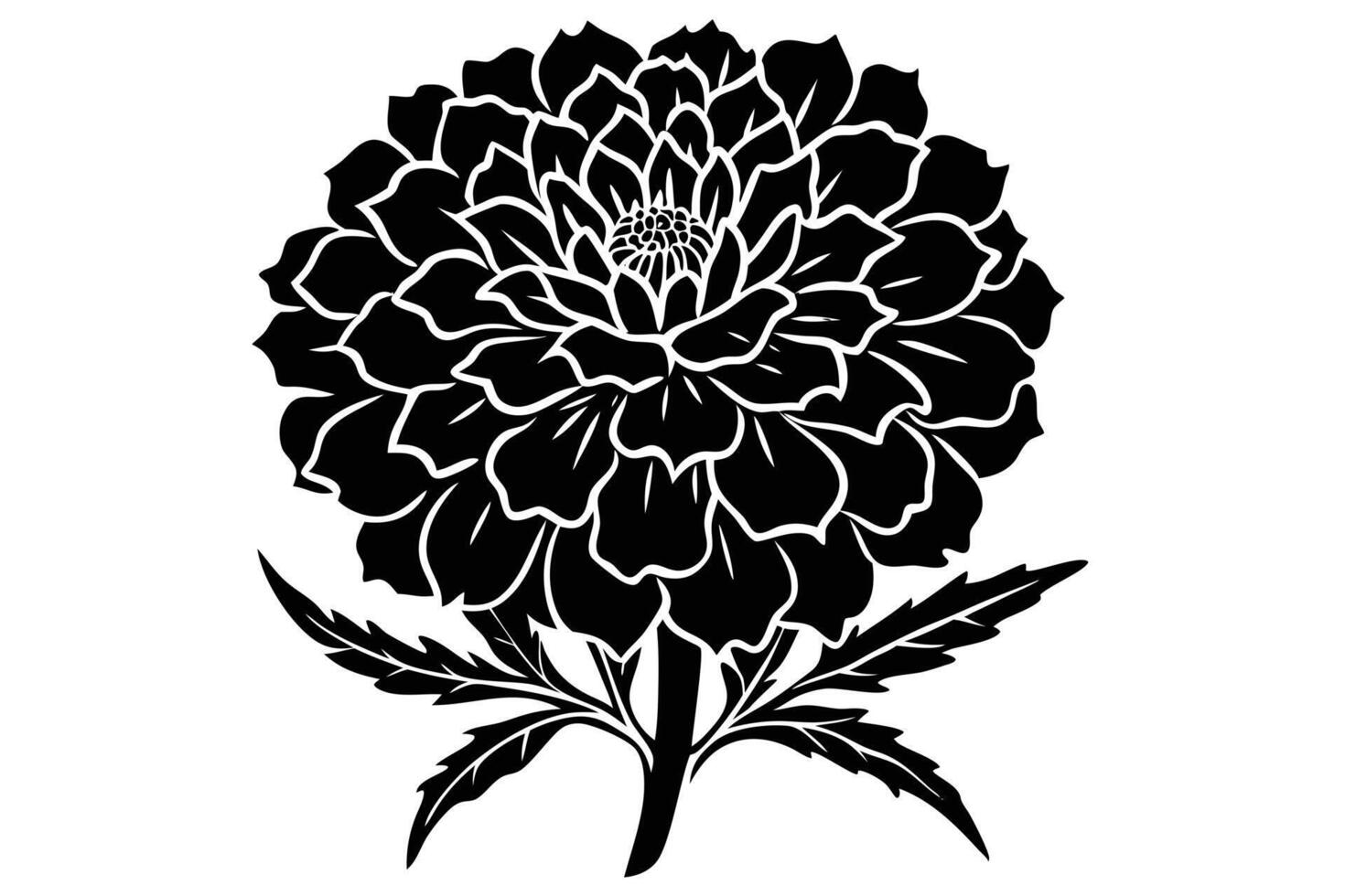 Dahlia flower illustration isolated on white background vector