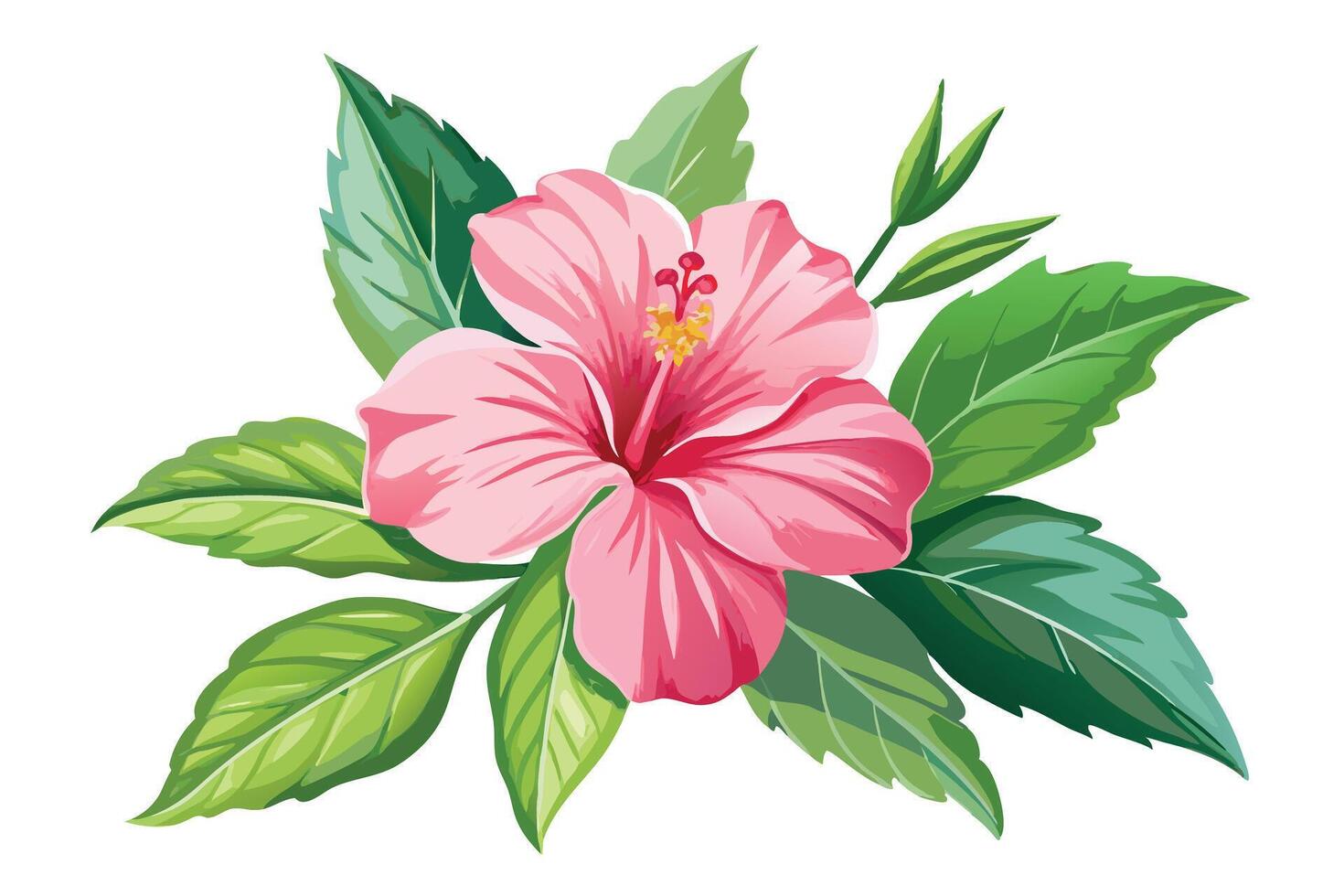 Vibrant pink hibiscus flower with lush green leaves on a white background art vector