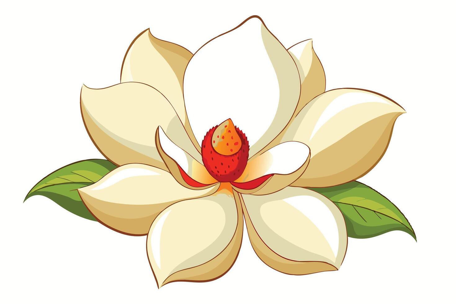 A digital illustration of a white magnolia flower with green leaves on white background vector