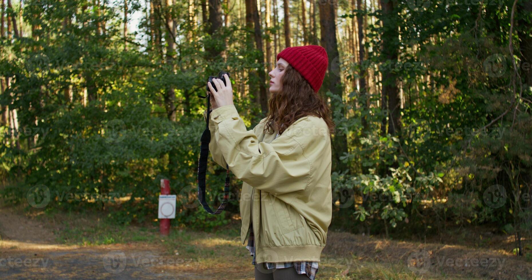 A photographer takes a photo of nature. A woman stands in the forest