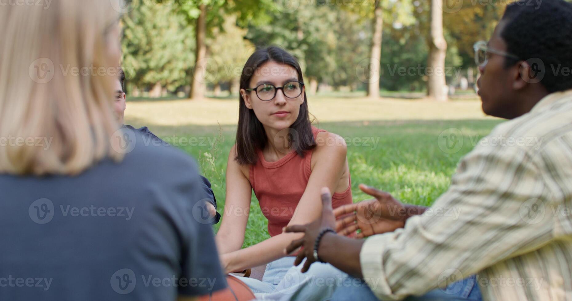 A group of young people are sitting on the grass in the park. They are talking and smiling. Summer photo