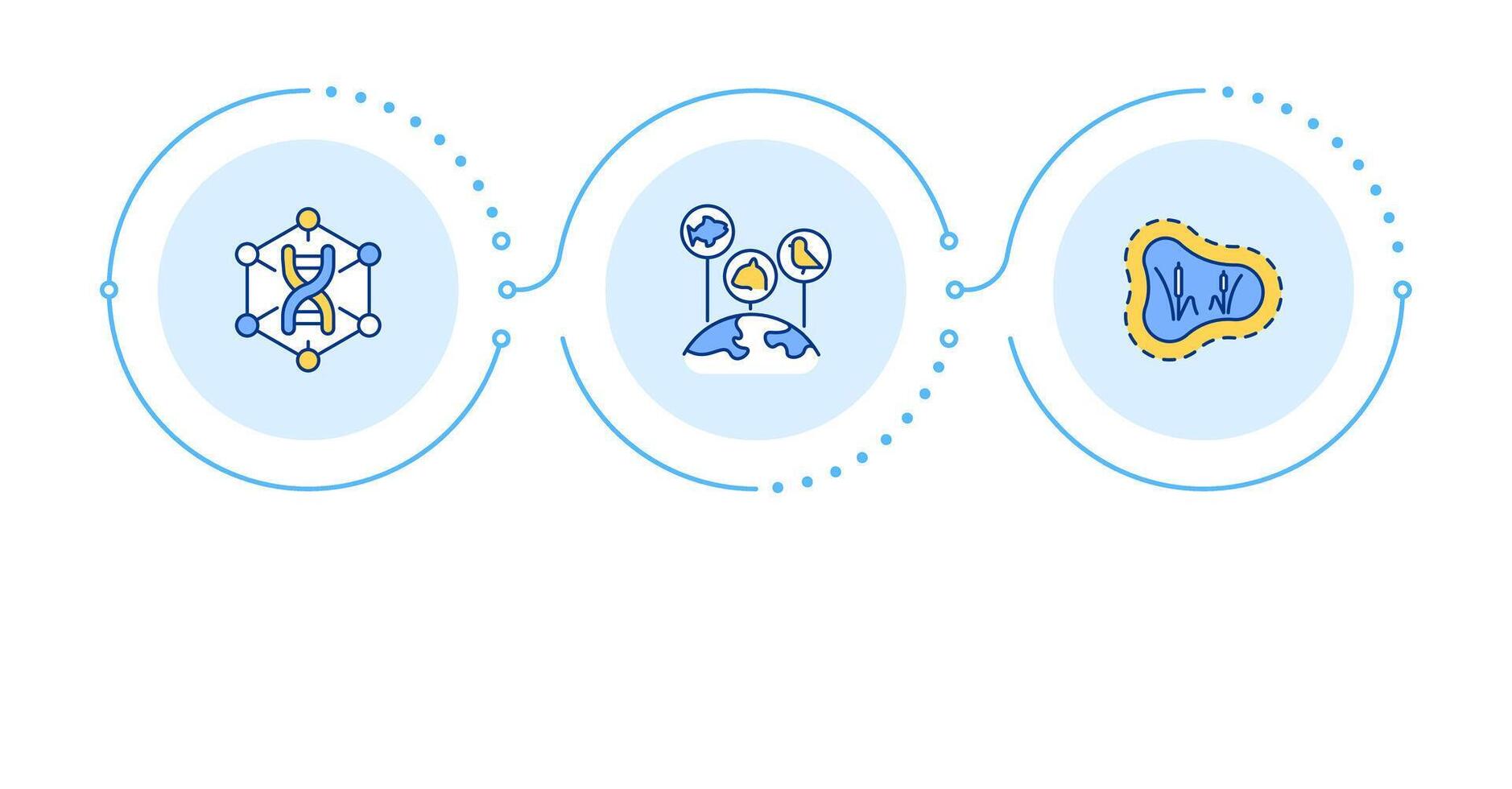Types of biodiversity infographic 3 steps. Various ecosystems. Wildlife preservation concepts. Flow chart infochart. Editable info graphics icons vector