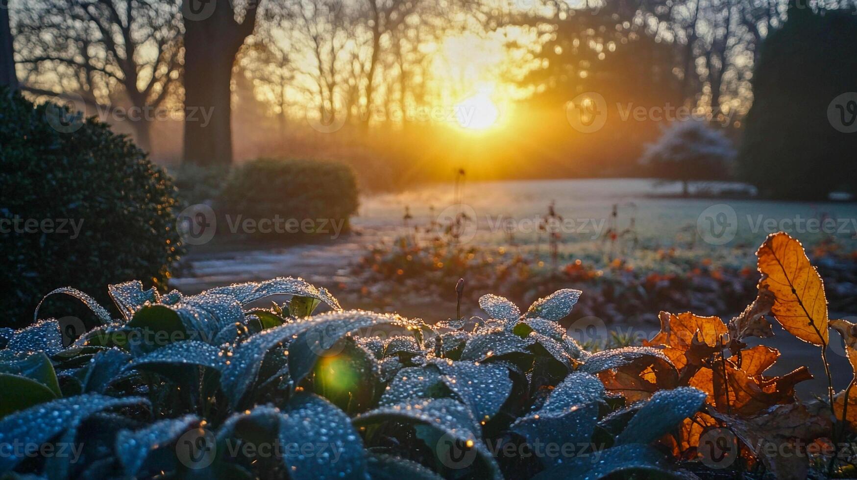 Morning sun rises over dew-covered garden with vibrant flowers and serene atmosphere photo
