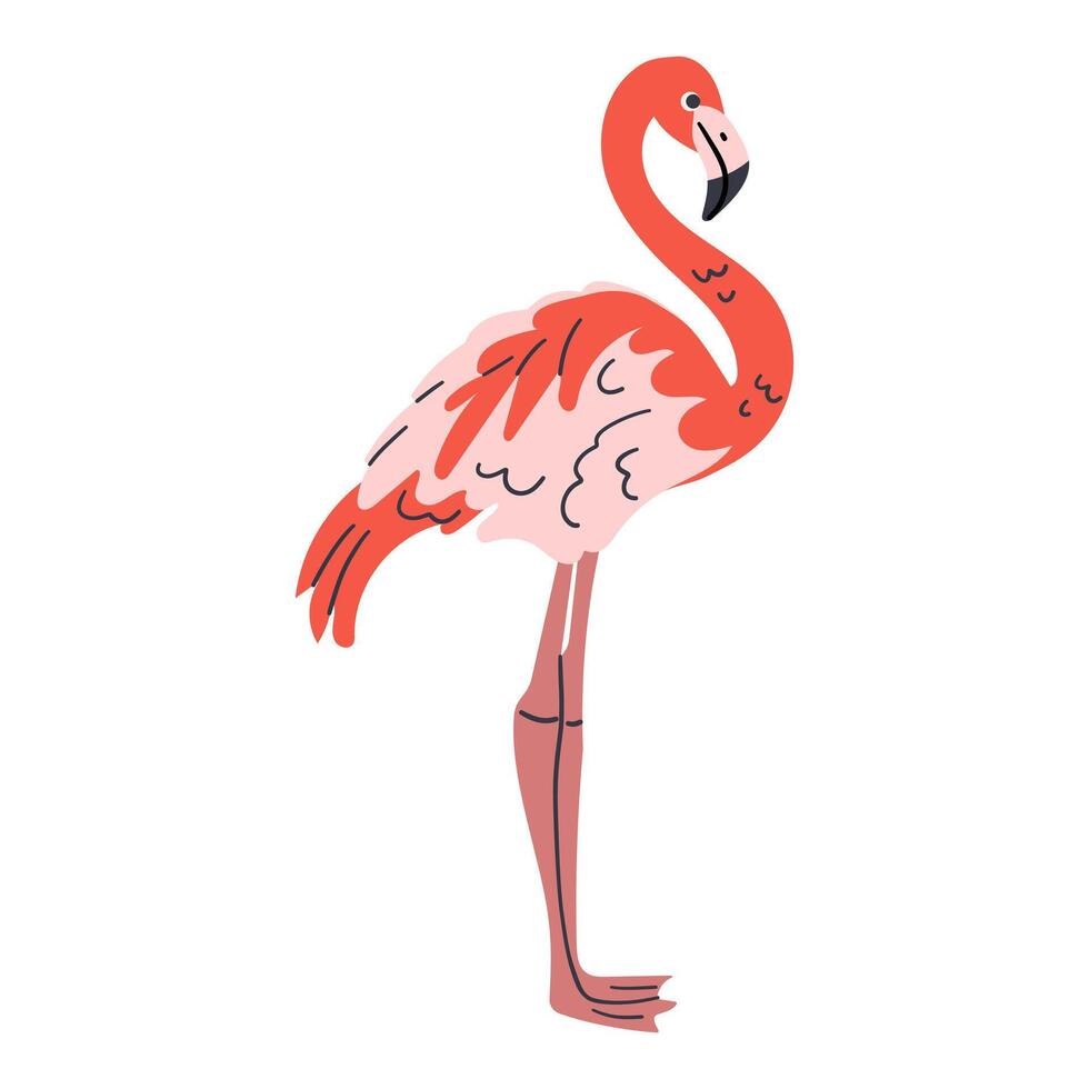 Pink flamingo and black flamingo icon. Beautiful bird hand drawn illustration . Isolated birds on white background. Wild animal sign for your design vector