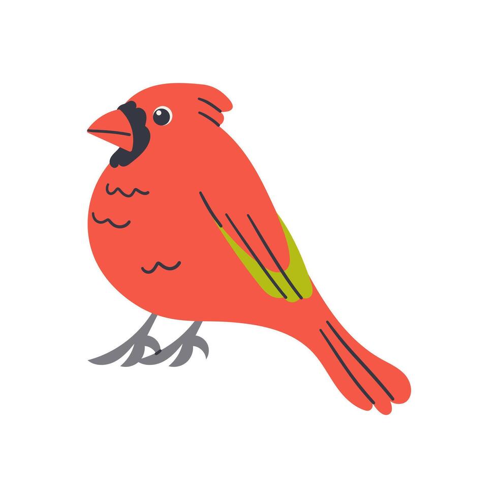 Exotic tropical bird. illustration in flat design. Fauna of South America. Flying colorful bird for icons, posters, children books. Jungle bird illustration . vector