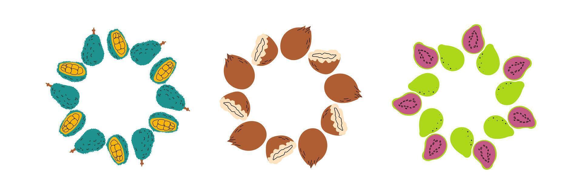 Fruit frame set. Different fruits design template, copy space. Cute hand drawn fruits round frame in doodle style. Circular template. Hand drawn fruits vector