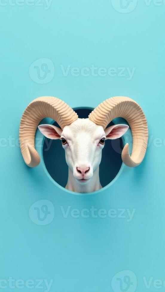 A ram's head is peeking out of a hole in a blue wall photo
