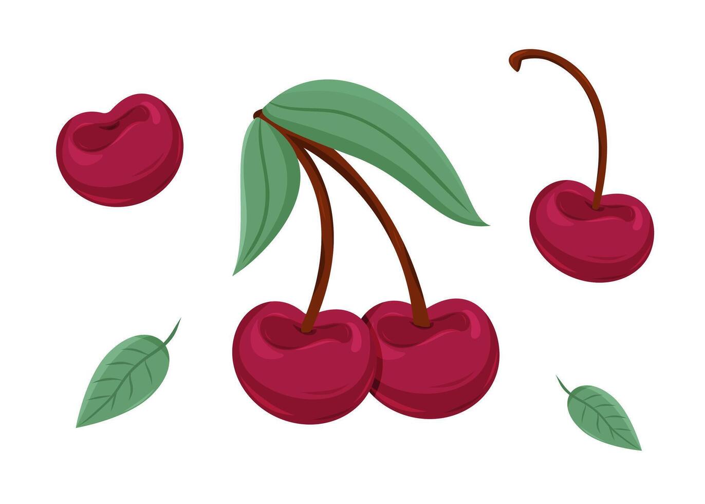 Cherry illustration with vibrant colors and detailed leaves, nature's beauty vector
