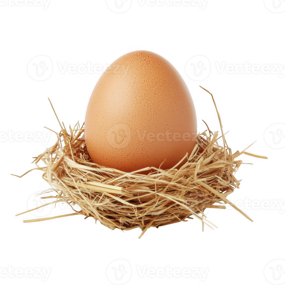 Single brown egg in hay nest isolated on transparent background png