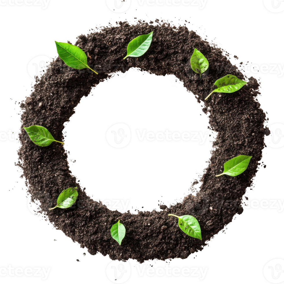 A circle of dirt with green leaves in it png