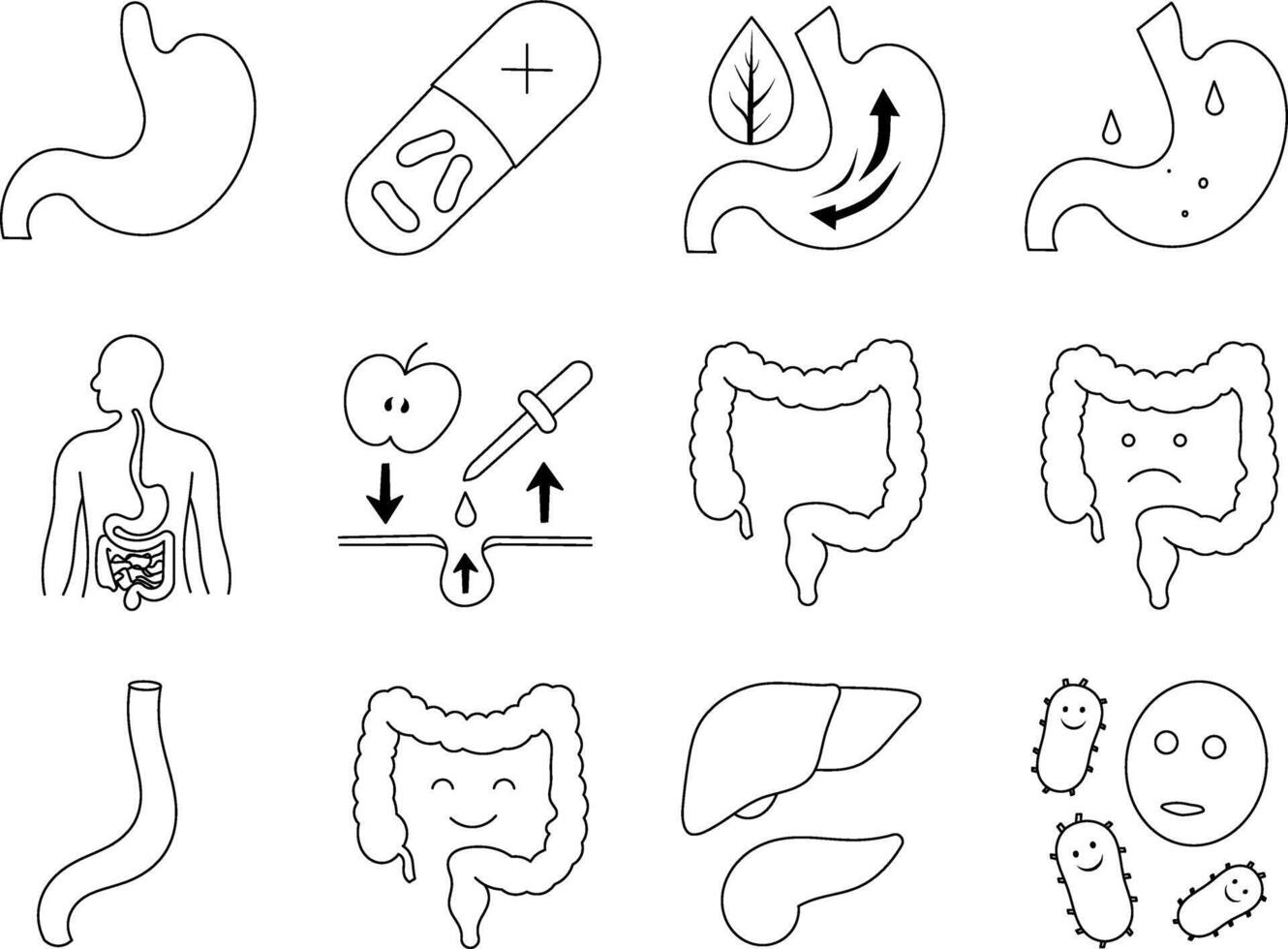 Illustration of the digestive system and the human body vector