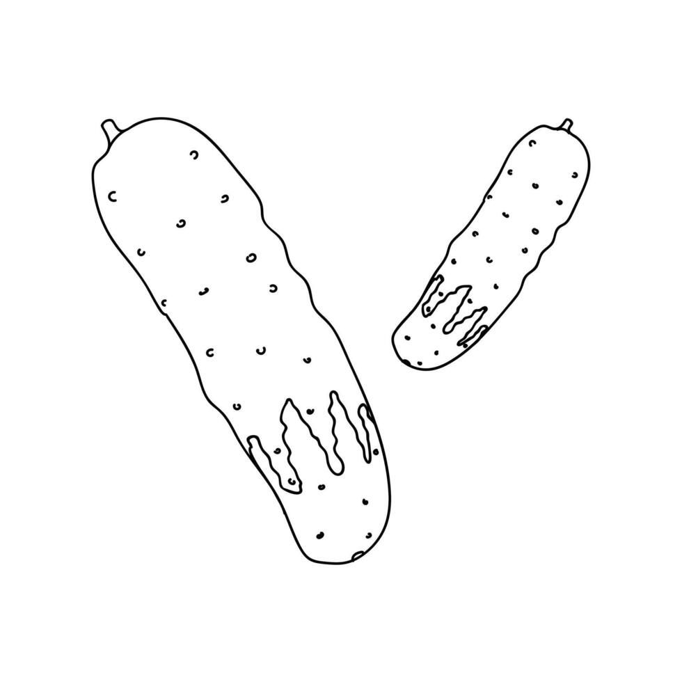 Cucumbers on a white background in doodle style. Cute cucumbers in linear style. vector