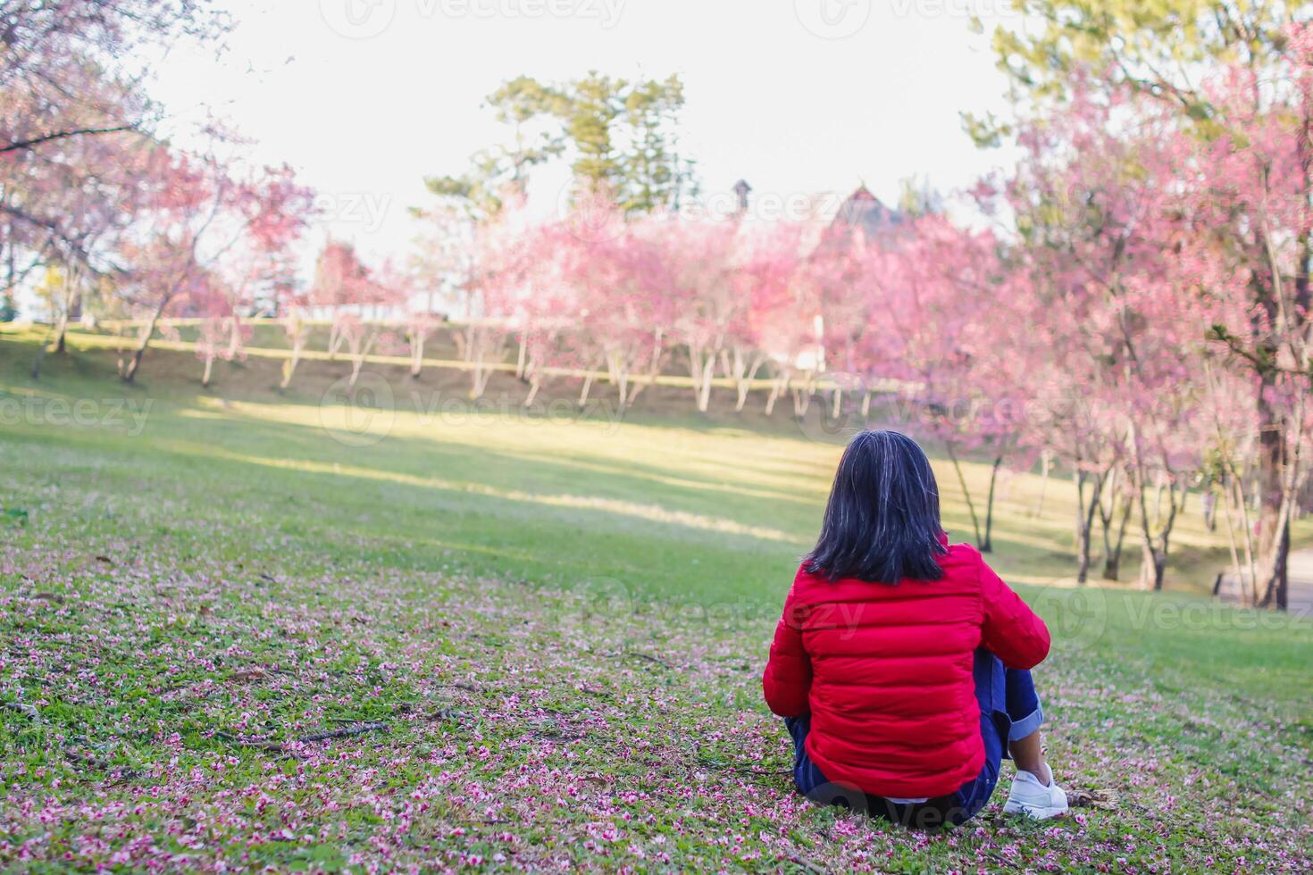 A woman sitting on the grass in front of a pink tree photo