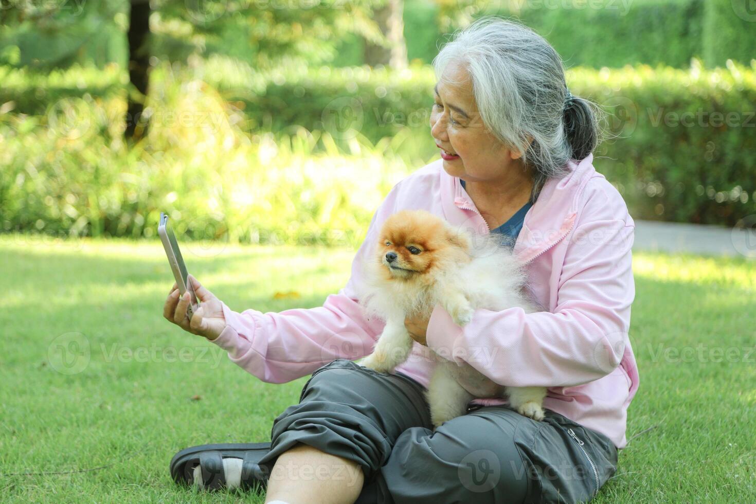 Senior woman playing with dog outdoors, Joyful elderly lady and her beloved Pomeranian selfie in the garden photo