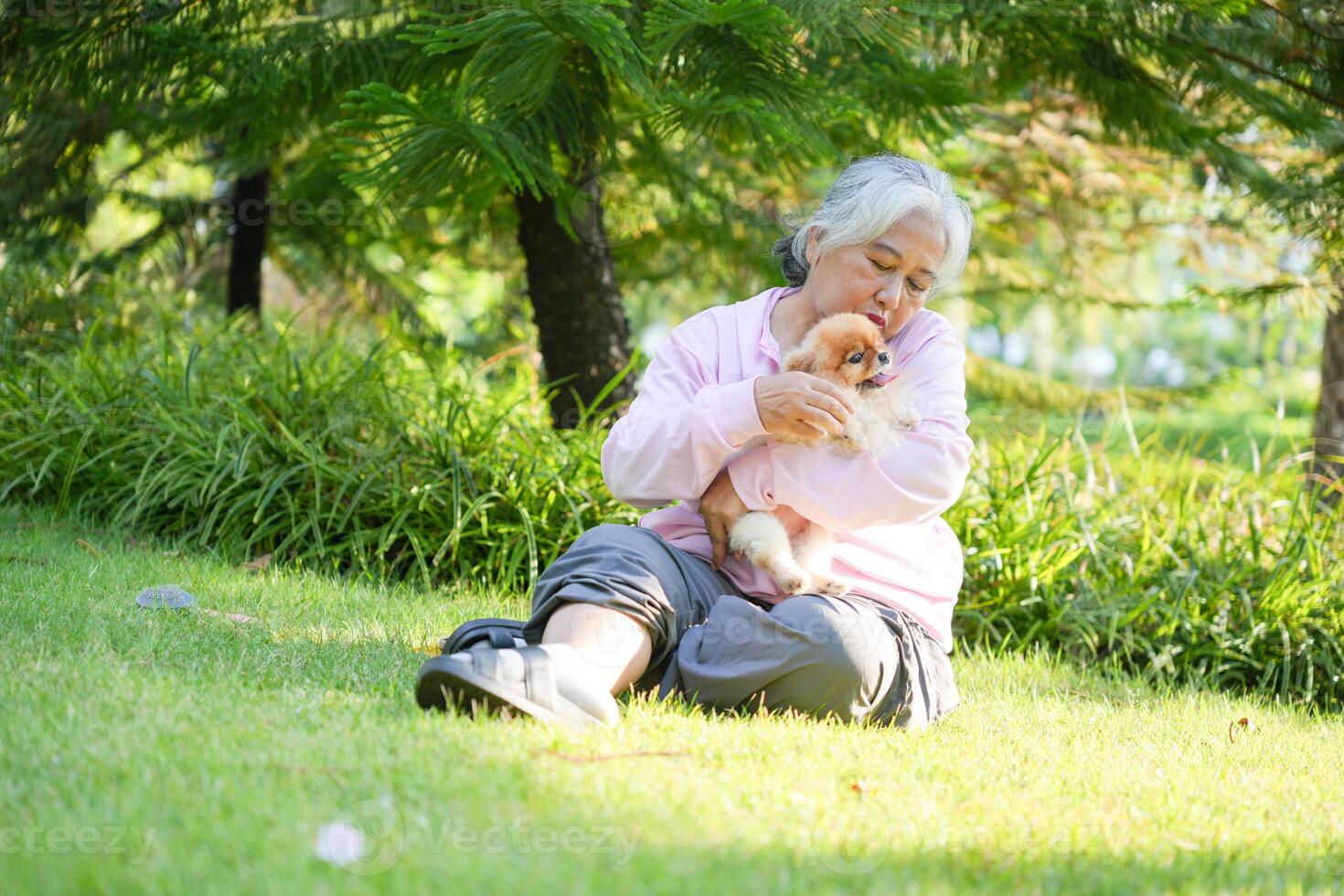 Elderly Woman Cuddling a Small Dog in a Park, Joyful Senior Lady and Her Pomeranian Outdoors photo
