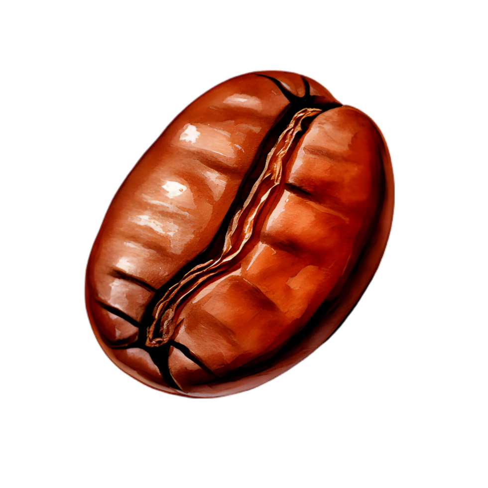 Roasted Coffee Bean Close Up, Rich Brown Glossy Texture, Isolated on Transparent Background png
