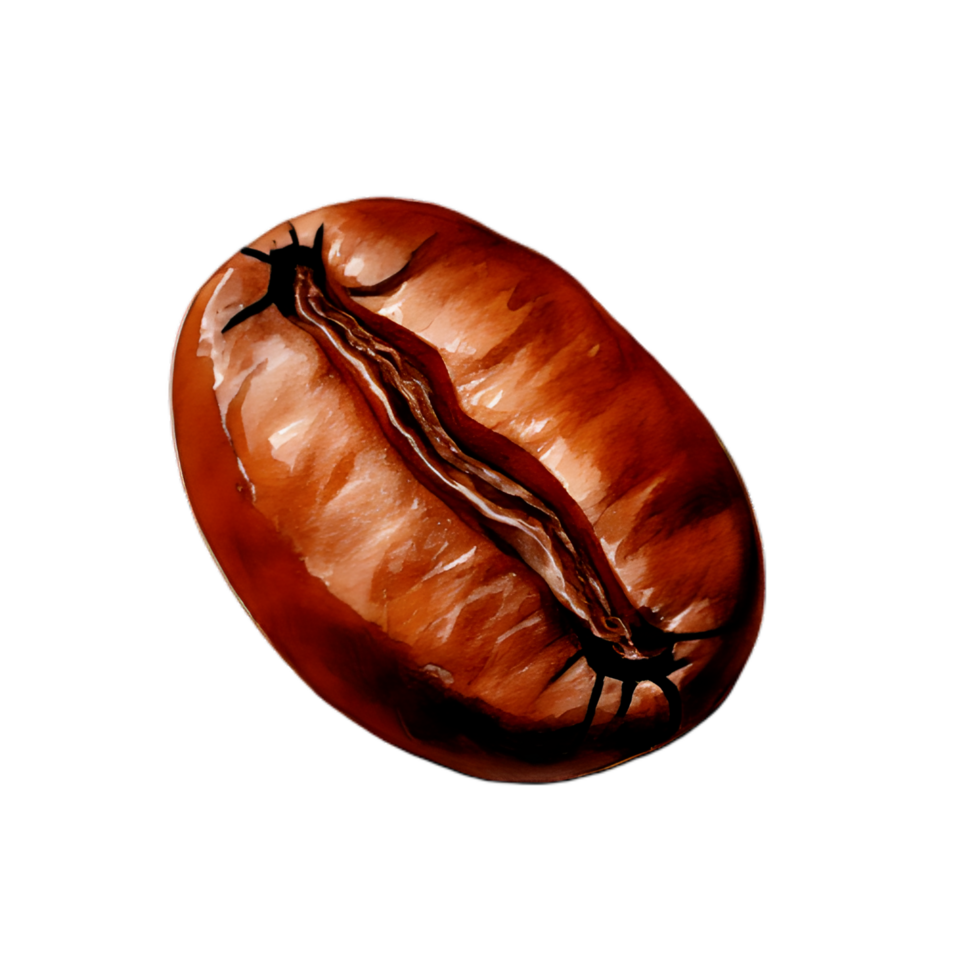 Close Up of a Single Roasted Coffee Bean on Transparent Background png