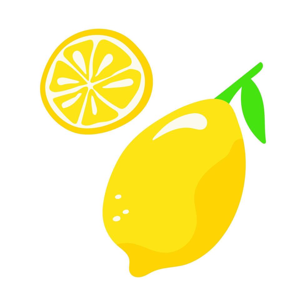 Lemon whole and lemon slice isolated on white background. vector