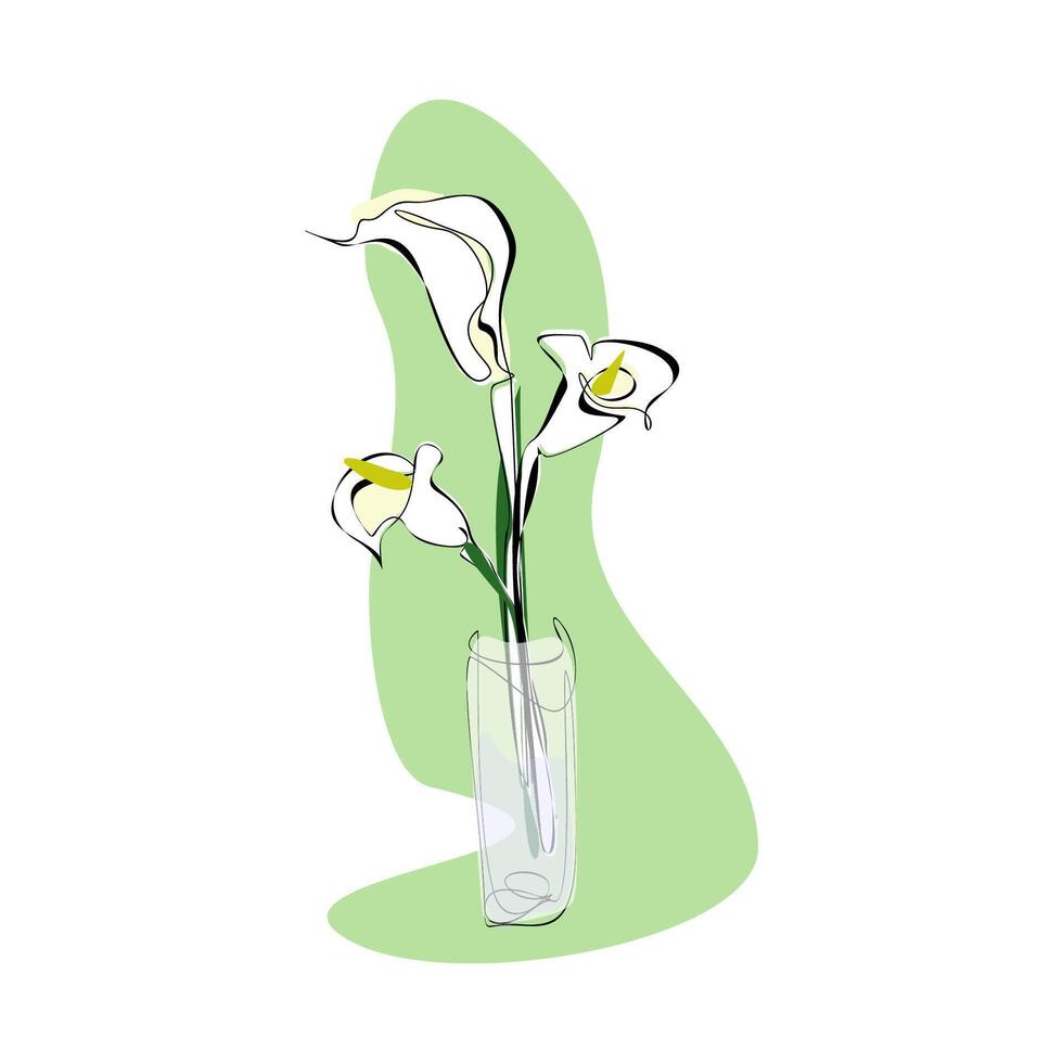 Minimalistic white calla flily lowers in a glass vase. Trendy botanical elements. Hand drawn line leaves branches and blooming. vector