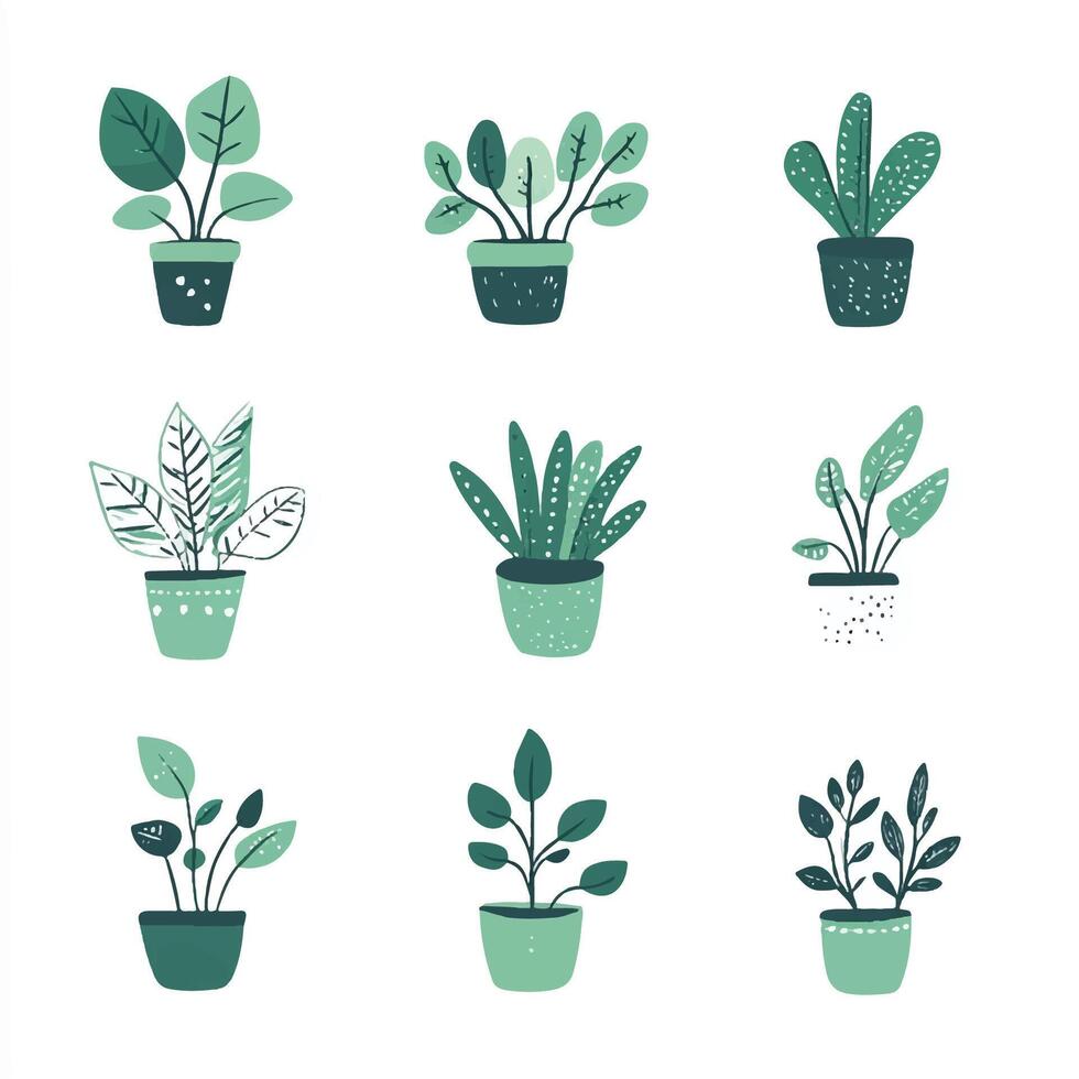 Set of house plants illustration vector