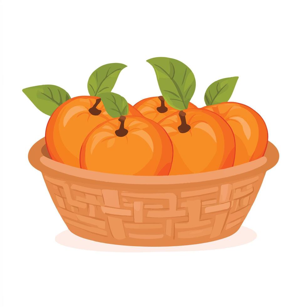 A basket full of oranges on a white background vector