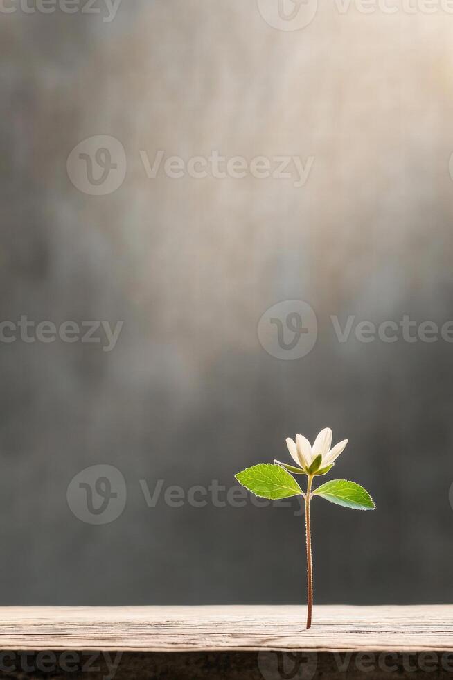 A small, fragile flower grows alone on a textured surface, its gentle hues reflecting a quiet strength photo