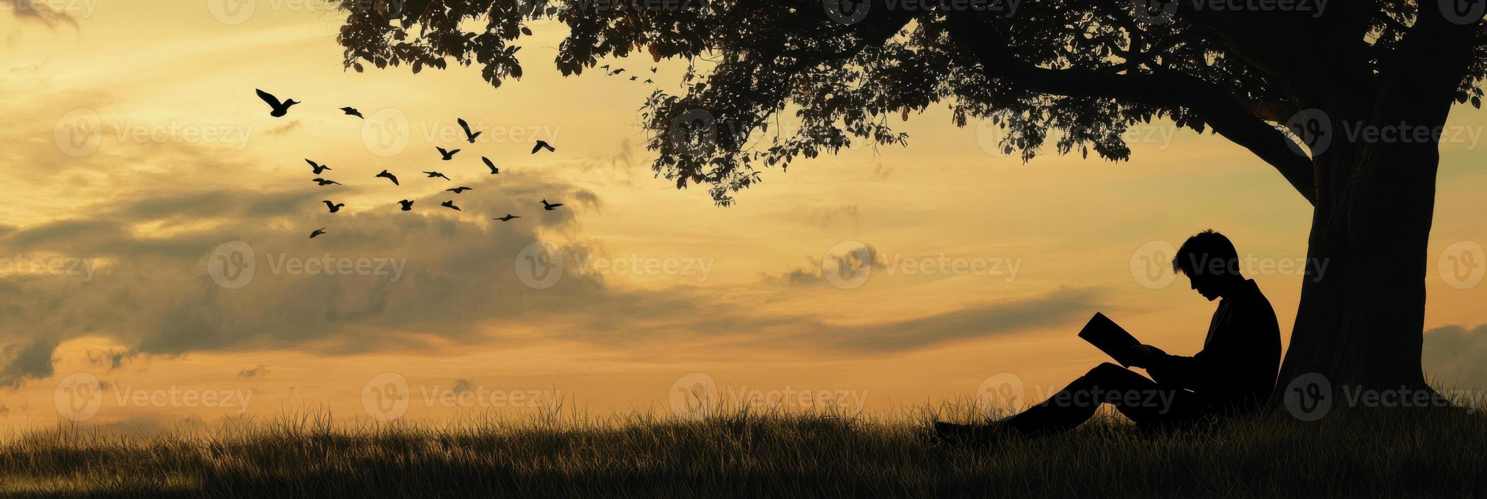 Enjoying a tranquil moment under a tree while reading a novel surrounded by nature photo