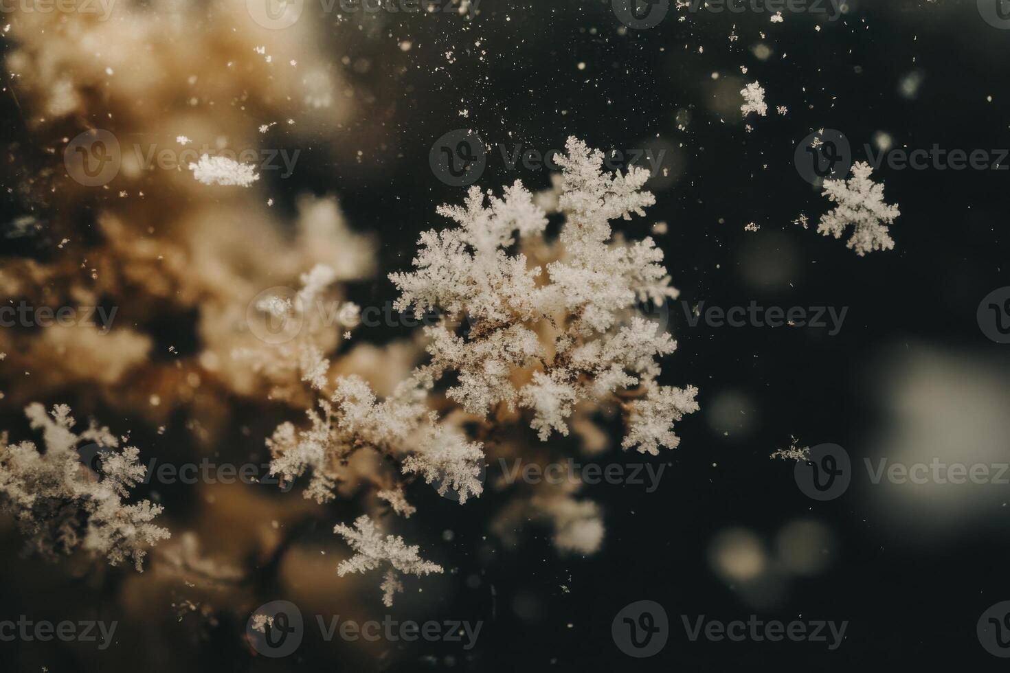 Close view of intricate snow crystals resting on glass, unveiling natures artistry on a chilly winter day photo