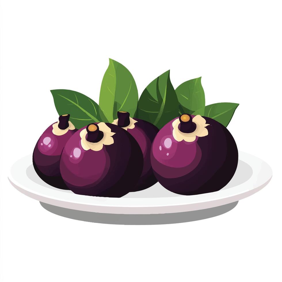 Purple mangosteen fruit on a plate illustration vector