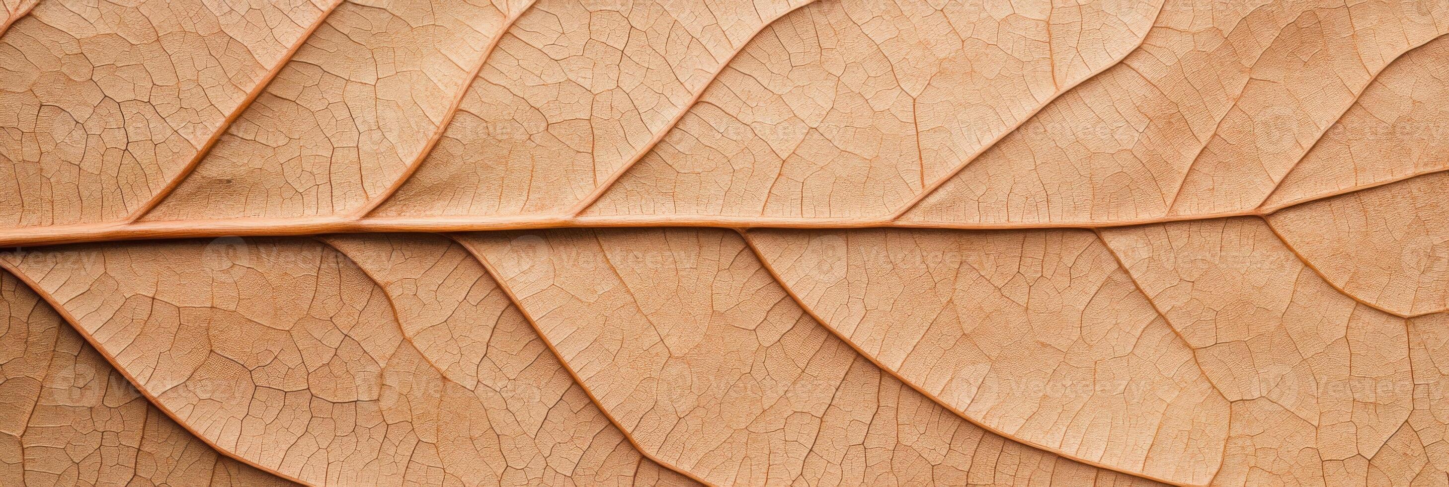 Natures beauty shines through intricate leaf patterns, showcasing the harmony of organic design and natural textures in soft earthy tones photo