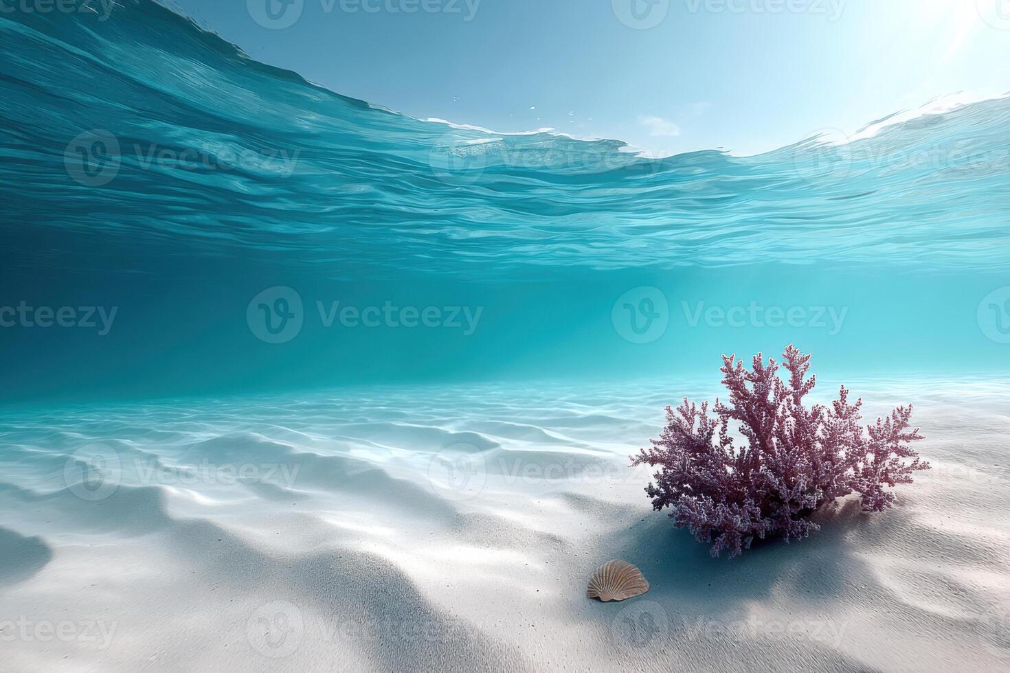 Relaxing sandy ocean bottom with vibrant coral and serene turquoise water photo