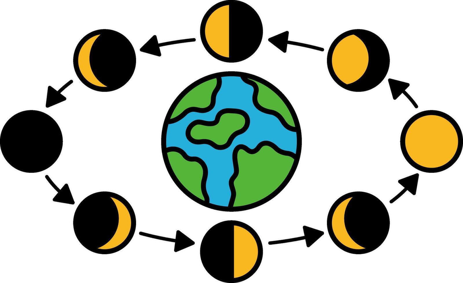 illustration of a lunar cycle vector