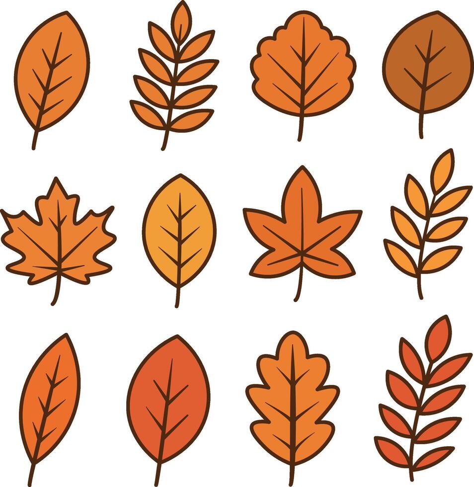 A collection of various autumn leaves in shades of orange and yellow. The leaves are illustrated with simple outlines and diverse shapes. vector